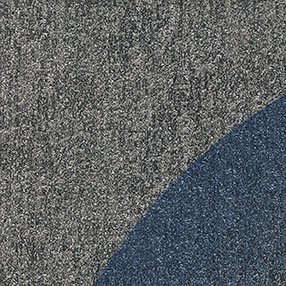 Collaborate Omni - Grey with Blue CNM228-13